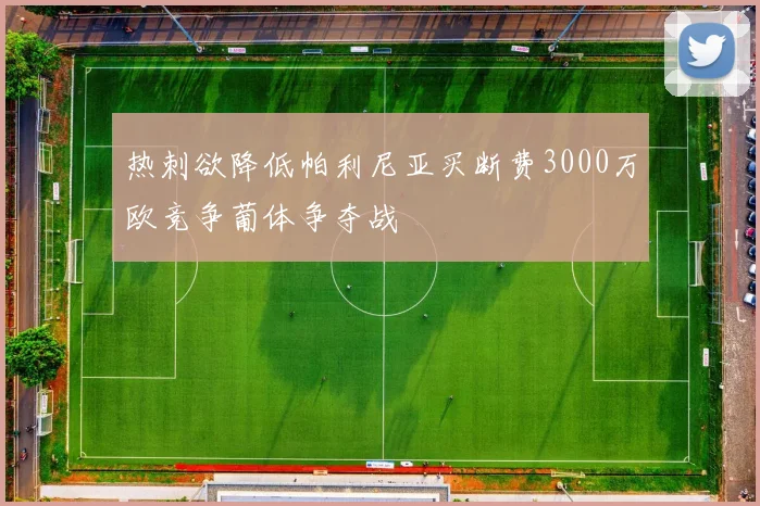 热刺欲降低帕利尼亚买断费3000万欧竞争葡体争夺战